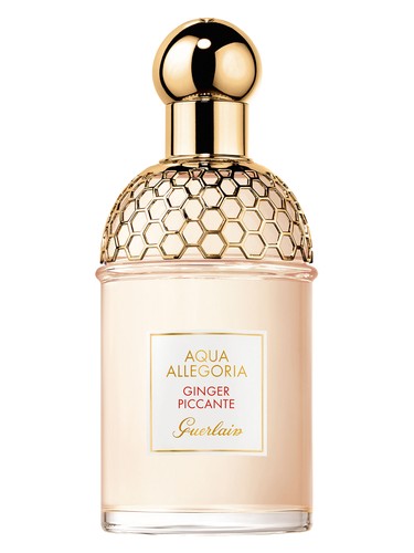 عطر ادکلن آکوا آلگوریا جینجر پیکانته گرلن - Aqua Allegoria Ginger Piccante Guerlain - بررسی، قیمت و خرید