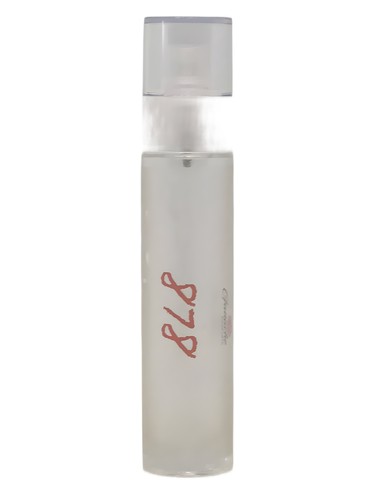 عطر ادکلن هشتصد و هفتاد و هشت گناش پارفوم - 878 Ganache Parfums - بررسی، قیمت و خرید