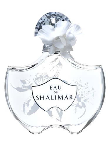 عطر ادکلن ا دو شالیمار دوهزار و نه گرلن - Eau de Shalimar 2009 Guerlain - بررسی، قیمت و خرید