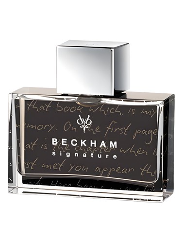 عطر ادکلن سگنچر استوری فور هیم دیوید بکهام - Signature Story for Him David Beckham - بررسی، قیمت و خرید