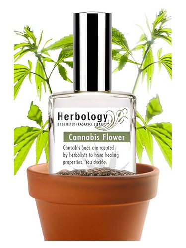 عطر ادکلن کانابیس فلاور دمیتر فراگرنس - Cannabis Flower Demeter Fragrance - بررسی، قیمت و خرید