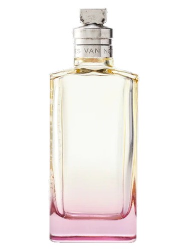 عطر ادکلن اُرنج اسموک دریس ون نوتن - Orange Smoke Dries Van Noten - بررسی، قیمت و خرید