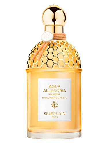 عطر ادکلن مندارین بازلیک هاروست گرلن - Mandarine Basilic Harvest Guerlain - بررسی، قیمت و خرید
