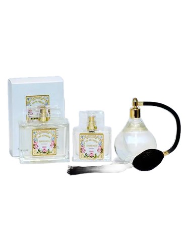 عطر ادکلن - Jeunesse Honore Payan - بررسی، قیمت و خرید