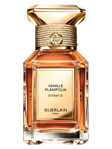 عطر ادکلن وانیل پلانیفولیا اکستراکت ۲۱ گرلن - Vanille Planifolia Extrait 21 Guerlain - بررسی، قیمت و خرید