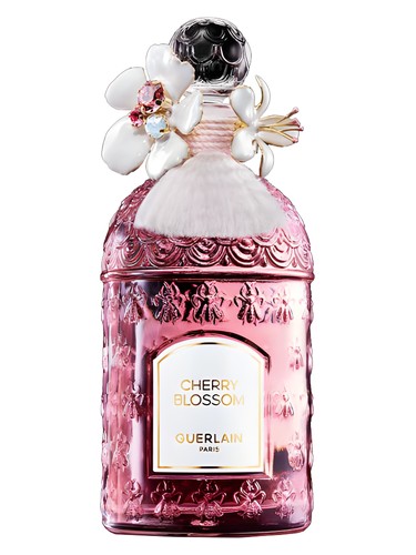 عطر ادکلن چری بلوسام میلیسیم ۲۰۲۴ گرلن - Cherry Blossom Millésime 2024 Guerlain - بررسی، قیمت و خرید