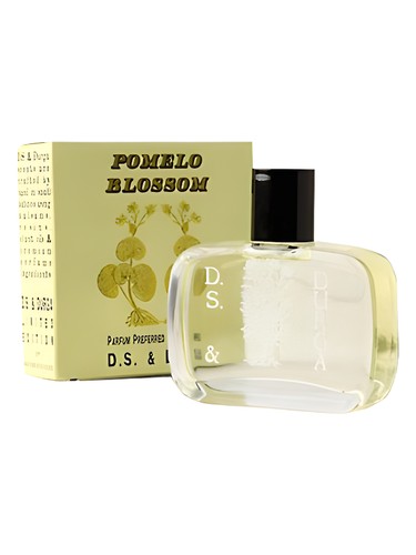 عطر ادکلن پوملو بلاسوم دی‌اس اند دورگا - Pomelo Blossom DS&Durga - بررسی، قیمت و خرید