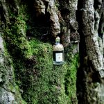 عطر ادکلن آکوا آلگوریا ماندارین بزیلیک گرلن - Aqua Allegoria Mandarine Basilic Guerlain - بررسی، قیمت و خرید