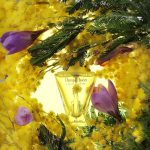 عطر ادکلن شانزلیزه او دو پرفیوم گرلن - Champs Elysees Eau de Parfum Guerlain - بررسی، قیمت و خرید