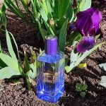 عطر ادکلن هرمسنس آیریس اوکیو هِرمس - Hermessence Iris Ukiyoé Hermès - بررسی، قیمت و خرید