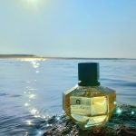 عطر ادکلن اِتین آینگر پور فم اِتین آیگنر - Etienne Aigner Pour Femme Etienne Aigner - بررسی، قیمت و خرید