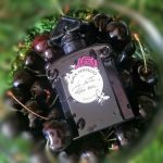 عطر ادکلن بلک پرفکتو بای لا پتیت روب نویر او دو توالت فلورال گرلن - Black Perfecto by La Petite Robe Noire Eau de Toilette Florale Guerlain - بررسی، قیمت و خرید