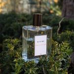 عطر ادکلن لوم اکامپلی دایوین - L'homme Accompli Divine - بررسی، قیمت و خرید