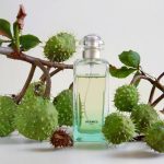 عطر ادکلن اون ژردن سور ل نیل اِرمِس - Un Jardin Sur Le Nil Hermès - بررسی، قیمت و خرید