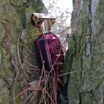 عطر ادکلن باس د سنت فور هر مگنتیک هوگو باس - Boss The Scent For Her Magnetic Hugo Boss - بررسی، قیمت و خرید