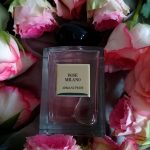 عطر ادکلن رز میلانو جورجیو آرمانی - Rose Milano Giorgio Armani - بررسی، قیمت و خرید