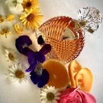 عطر ادکلن دیوا پپیت ایمانوئل اونگارو - Diva Pépite Emanuel Ungaro - بررسی، قیمت و خرید