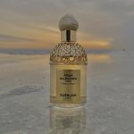 عطر ادکلن آکوا آلگوریا فورته بوسکا وانیلا گرلن - Aqua Allegoria Forte Bosca Vanilla Guerlain - بررسی، قیمت و خرید