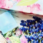 عطر ادکلن گرین تی ساکورا بلاسِم الیزابت آردن - Green Tea Sakura Blossom Elizabeth Arden - بررسی، قیمت و خرید