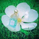 عطر ادکلن آکوا الگوریا کوکونات فیز گرلن - Aqua Allegoria Coconut Fizz Guerlain - بررسی، قیمت و خرید
