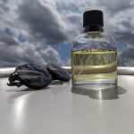 عطر ادکلن دولچه گابانا پور هوم دولچه گابانا - Dolce&Gabbana Pour Homme (2012) Dolce&Gabbana - بررسی، قیمت و خرید