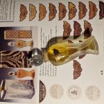 عطر ادکلن ویگا گرلن - Vega Guerlain - بررسی، قیمت و خرید