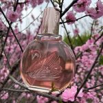 عطر ادکلن میس وندربیلت گلوریا وندربیلت - Miss Vanderbilt Gloria Vanderbilt - بررسی، قیمت و خرید