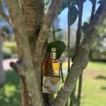 عطر ادکلن کامومیل ساتین دریس ون نوتن - Camomille Satin Dries Van Noten - بررسی، قیمت و خرید