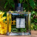 عطر ادکلن گرلن هوم او دو پارفوم گرلن - Guerlain Homme Eau de Parfum (2016) Guerlain - بررسی، قیمت و خرید