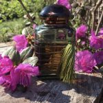 عطر ادکلن اوند اکستاز جورجیو آرمانی - Onde Extase Giorgio Armani - بررسی، قیمت و خرید