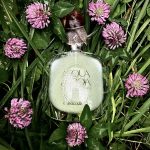عطر ادکلن آکوا دی جیویا ادو پرفیوم ساتینه جورجیو آرمانی - Acqua di Gioia Eau de Parfum Satinee Giorgio Armani - بررسی، قیمت و خرید