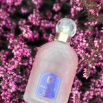عطر ادکلن اینسولنس او دو تویلت گرلن - Insolence Eau de Toilette Guerlain - بررسی، قیمت و خرید
