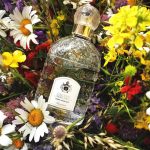 عطر ادکلن لا کالون دو پارفومور گرلن - La Cologne Du Parfumeur Guerlain - بررسی، قیمت و خرید