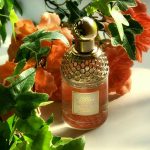 عطر ادکلن آکوا آلگوریا ماندارین بزیلیک گرلن - Aqua Allegoria Mandarine Basilic Guerlain - بررسی، قیمت و خرید