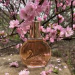 عطر ادکلن میس وندربیلت گلوریا وندربیلت - Miss Vanderbilt Gloria Vanderbilt - بررسی، قیمت و خرید