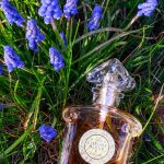 عطر ادکلن لر بلو گرلن - L'Heure Bleue Eau de Toilette Guerlain - بررسی، قیمت و خرید