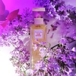 عطر ادکلن فیفت اونیو افتر فایو الیزابت آردن - 5th Avenue After Five Elizabeth Arden - بررسی، قیمت و خرید