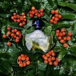 عطر ادکلن شالیمار لجغِر گرلن - Shalimar Legere Guerlain - بررسی، قیمت و خرید