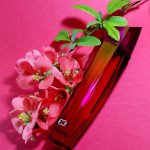 عطر ادکلن اسکادا مگنتیسم اسکادا - Escada Magnetism Escada - بررسی، قیمت و خرید