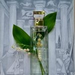 عطر ادکلن فیفت اونیو افتر فایو الیزابت آردن - 5th Avenue After Five Elizabeth Arden - بررسی، قیمت و خرید