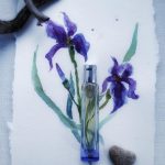عطر ادکلن هرمسنس آیریس اوکیو هِرمس - Hermessence Iris Ukiyoé Hermès - بررسی، قیمت و خرید