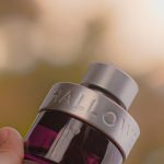 عطر ادکلن هالووین من هالووین - Halloween Man Halloween - بررسی، قیمت و خرید