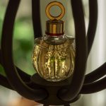 عطر ادکلن مجیک سلین - Magic Celine - بررسی، قیمت و خرید