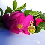 عطر ادکلن مجیک سلین - Magic Celine - بررسی، قیمت و خرید