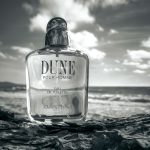 عطر ادکلن دیون پور هوم دیور - Dune Pour Homme Dior - بررسی، قیمت و خرید