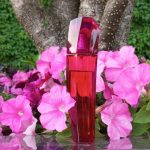 عطر ادکلن اسکادا مگنتیسم اسکادا - Escada Magnetism Escada - بررسی، قیمت و خرید