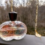 عطر ادکلن ابسولوتلی می اسکادا - Absolutely Me Escada - بررسی، قیمت و خرید