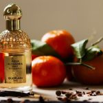 عطر ادکلن آکوا آلگوریا فورته بوسکا وانیلا گرلن - Aqua Allegoria Forte Bosca Vanilla Guerlain - بررسی، قیمت و خرید
