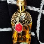عطر ادکلن آکوا الِگوریا وینتر دلیس گرلن - Aqua Allegoria Winter Delice Guerlain - بررسی، قیمت و خرید