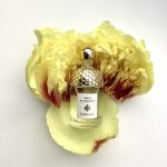 عطر ادکلن نرولیا وتیور گرلن - Nerolia Vetiver Guerlain - بررسی، قیمت و خرید